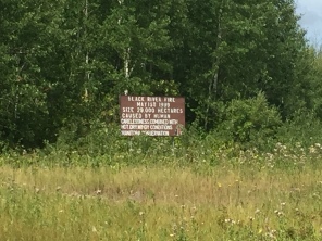 Black River Forest Fire sign says it was caused by human carelessness